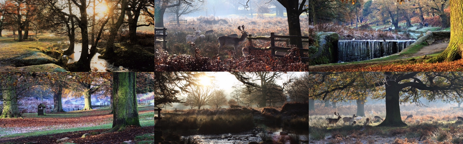 bradgate